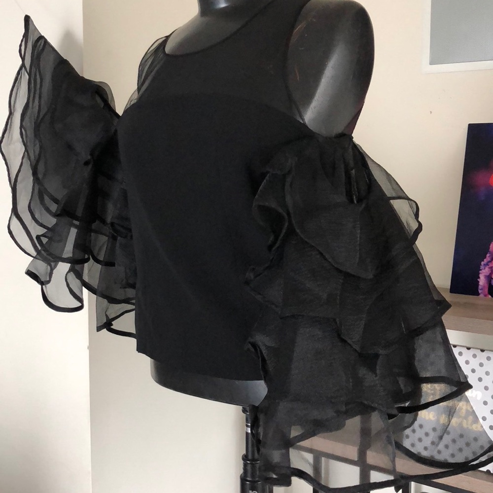 Sheer Ruffled Sleeve Top - Picture 5 of 7